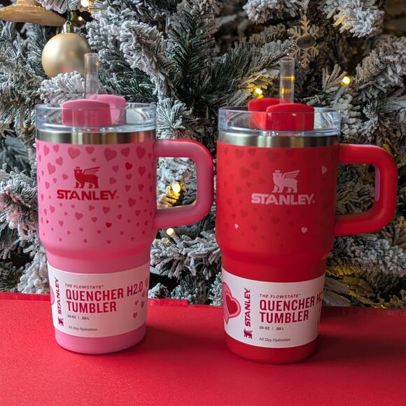 Stanley Other - SET of Stanley 20 oz Tumblers Valentine's Day 2024 x Target Red & Pink Hearts